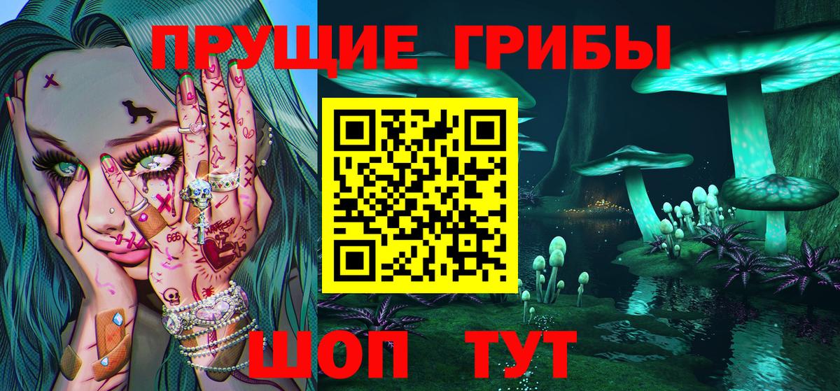 Галлюциногенные грибы GOLDEN TEACHER  Вход с VPN  Балашов  Галлюциногенные грибы мухоморы 
